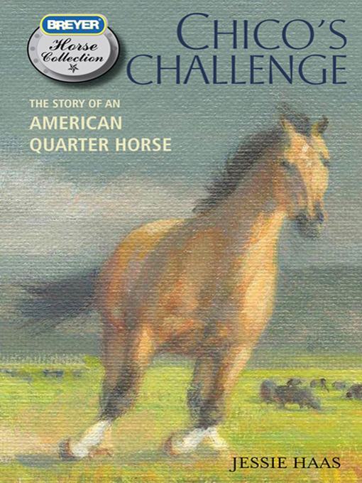 Cover image for Chico's Challenge